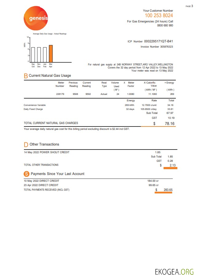 New Zealand Genesis Gas utility bill template in Word and PDF format, 3 pages 2